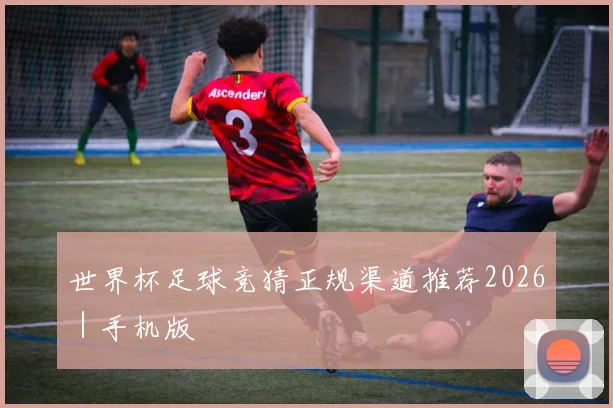 世界杯足球竞猜正规渠道推荐2026｜手机版