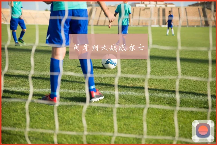 匈牙利大战威尔士