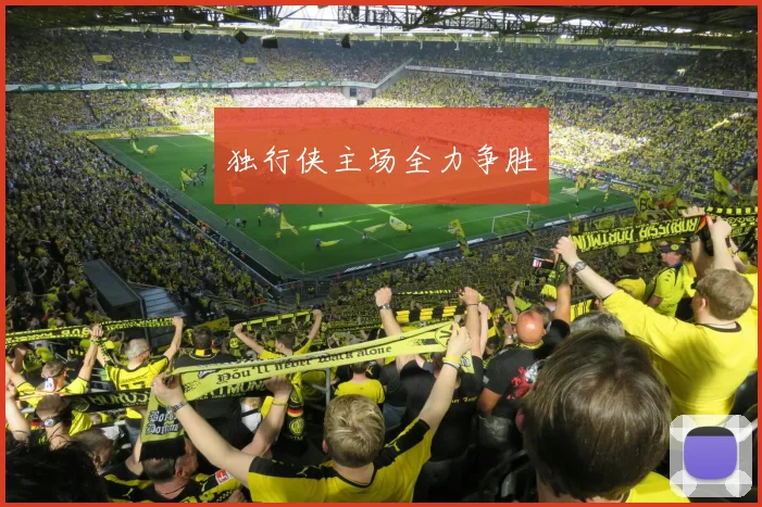 独行侠主场全力争胜