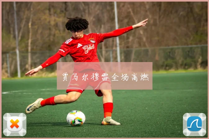 贾马尔穆雷全场高燃