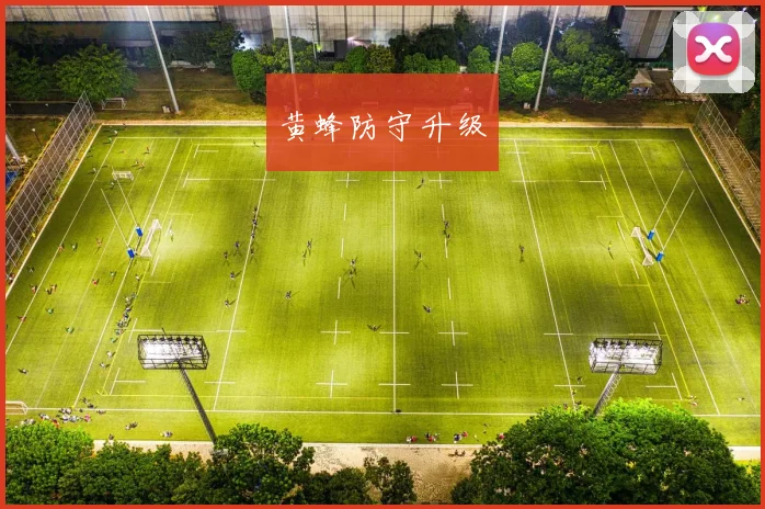 黄蜂防守升级