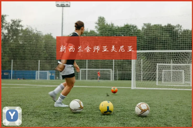 新西兰会师亚美尼亚