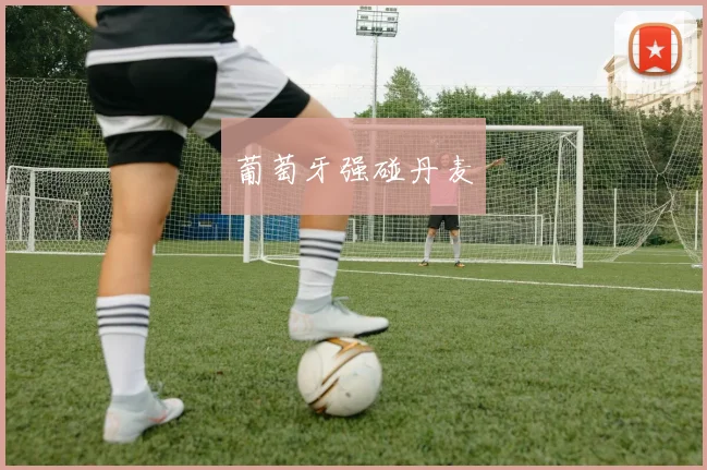 葡萄牙强碰丹麦