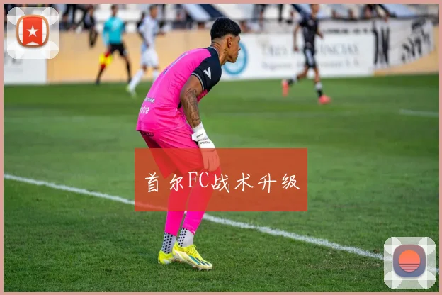 首尔FC战术升级