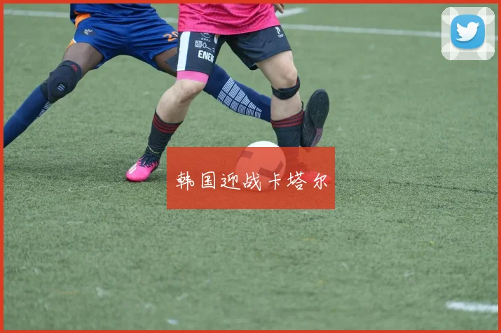 韩国迎战卡塔尔