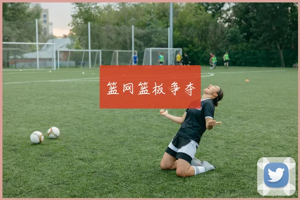 篮网篮板争夺