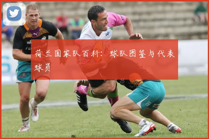 荷兰国家队百科：球队图鉴与代表球员