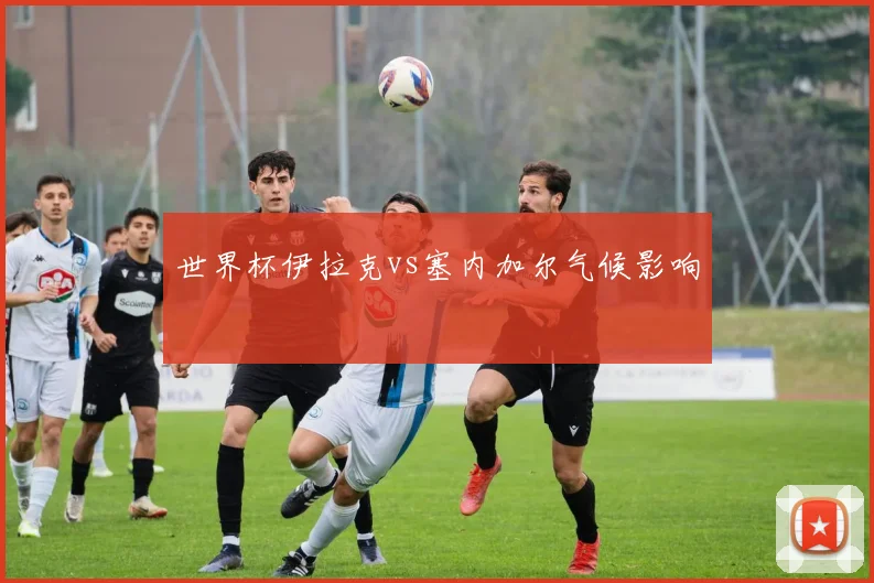 世界杯伊拉克vs塞内加尔气候影响