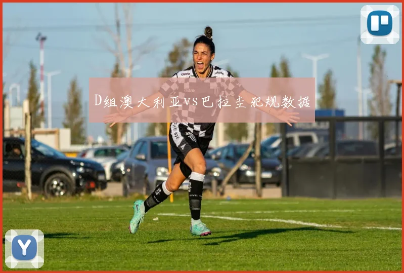 D组澳大利亚vs巴拉圭犯规数据