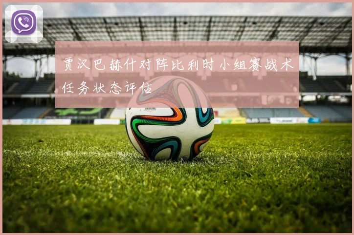 贾汉巴赫什对阵比利时小组赛战术任务状态评估