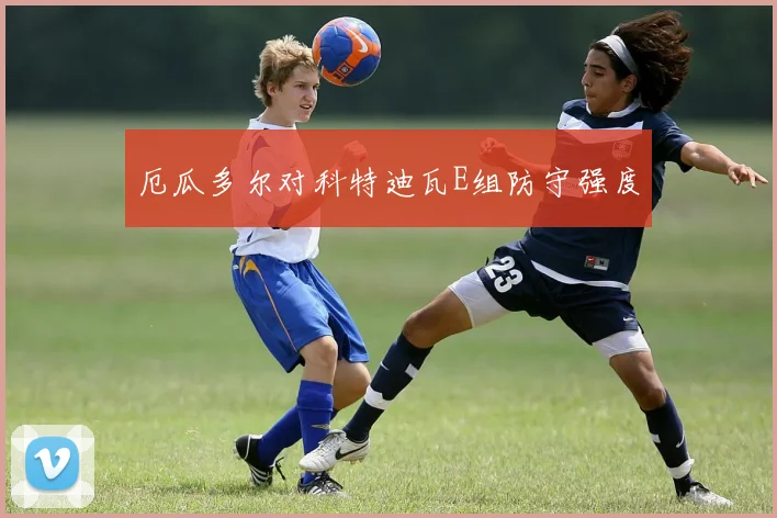 厄瓜多尔对科特迪瓦E组防守强度
