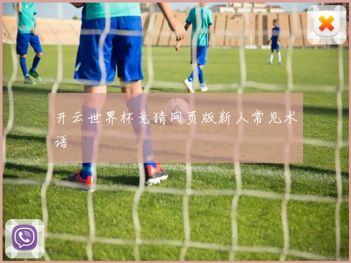 开云世界杯竞猜网页版新人常见术语